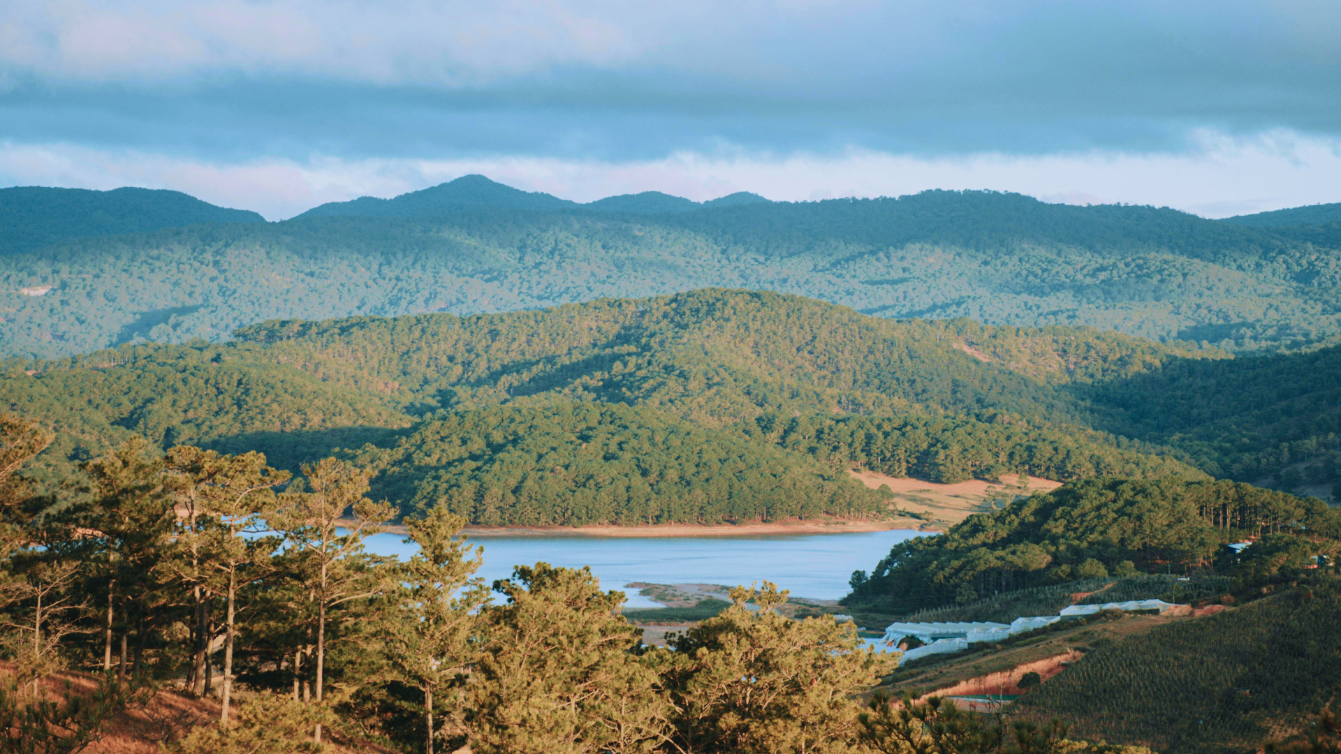 Đà Lạt: Khí hậu ôn hòa, quy hoạch kỷ luật, không khí sạch – nền tảng cho tăng trưởng bền vững
